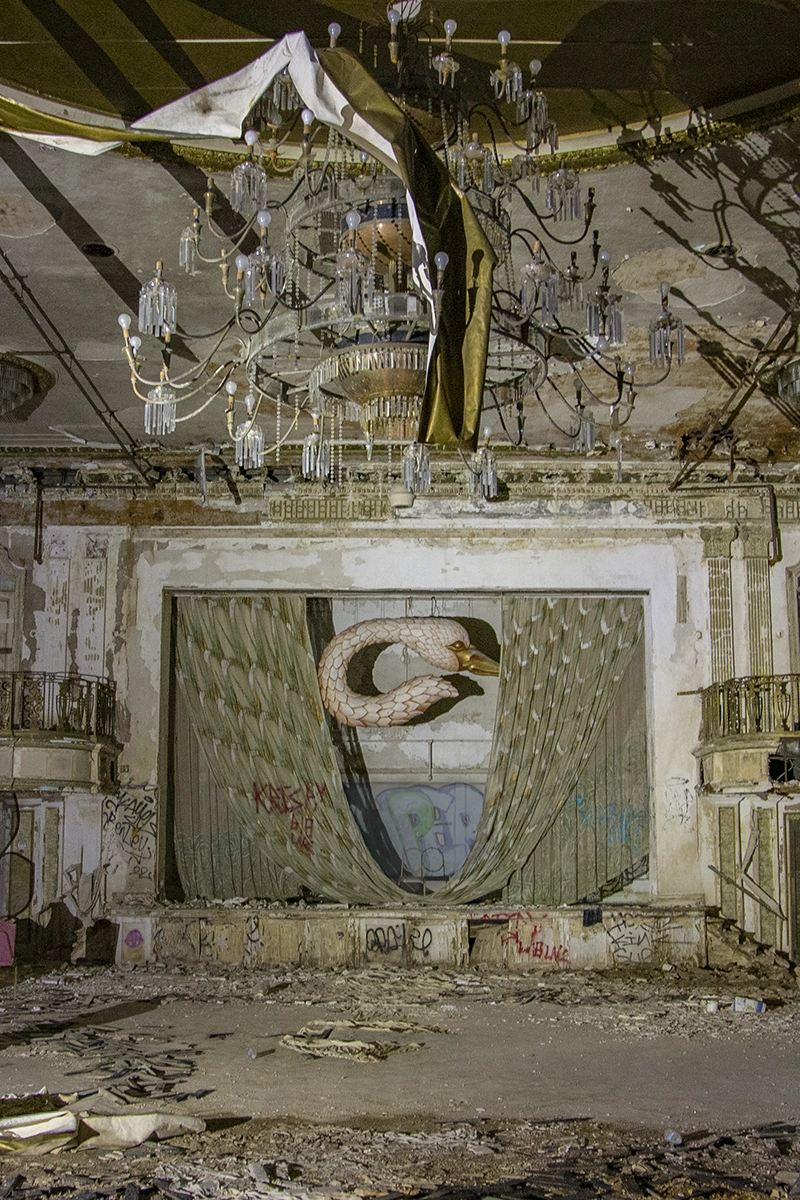 Hotel Jefferson Saint Louis copyright 2024 sublunar